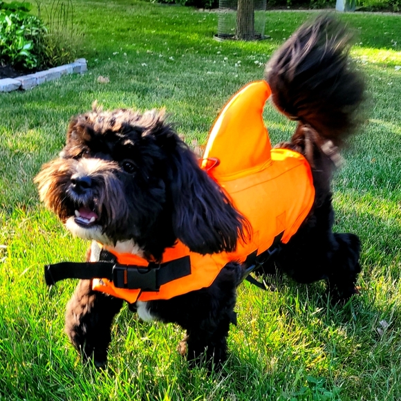 Meet your Posher, Kristin - Picture 1 of 1